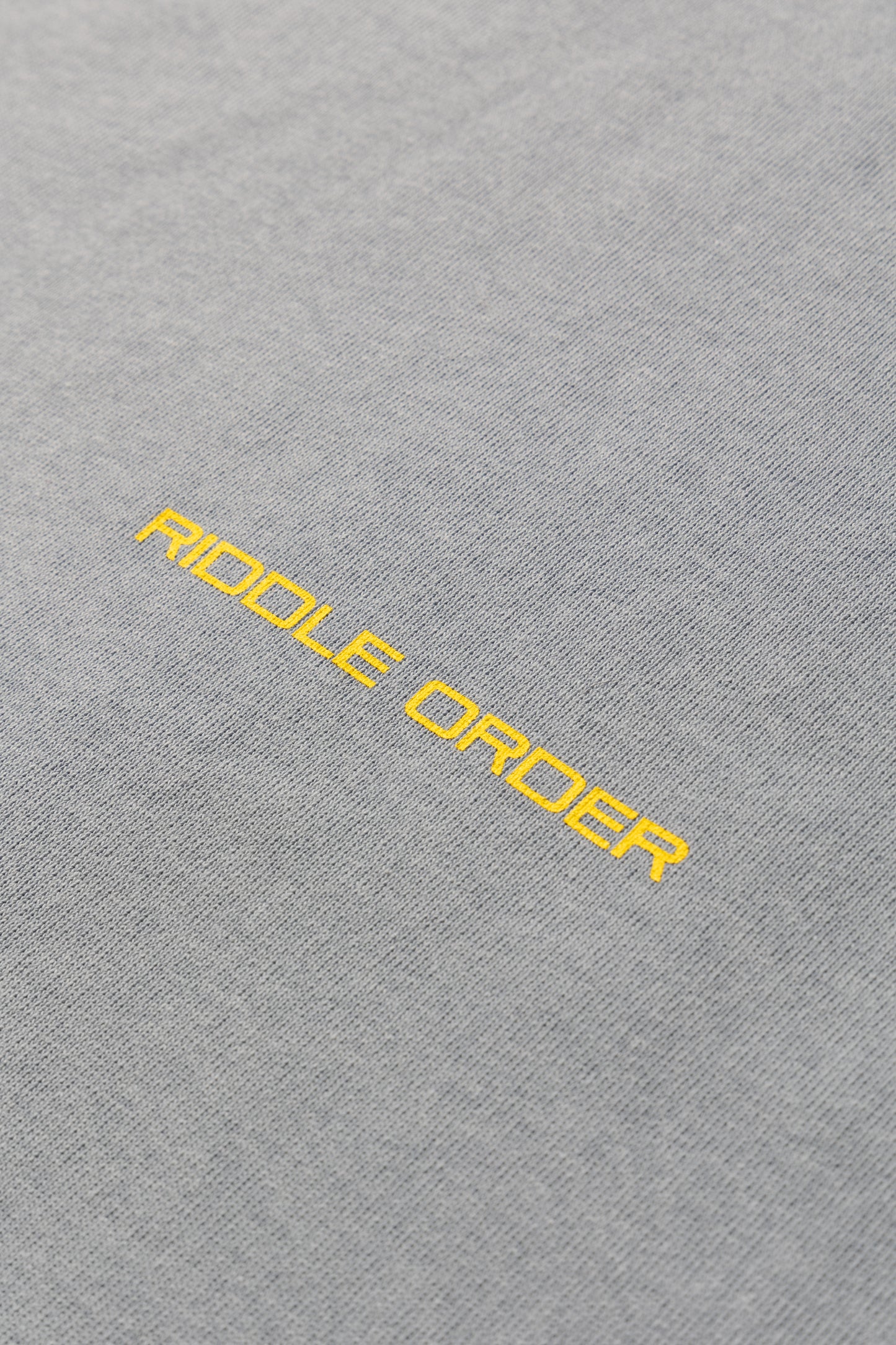 RIDDLE L/S TEE / BLU