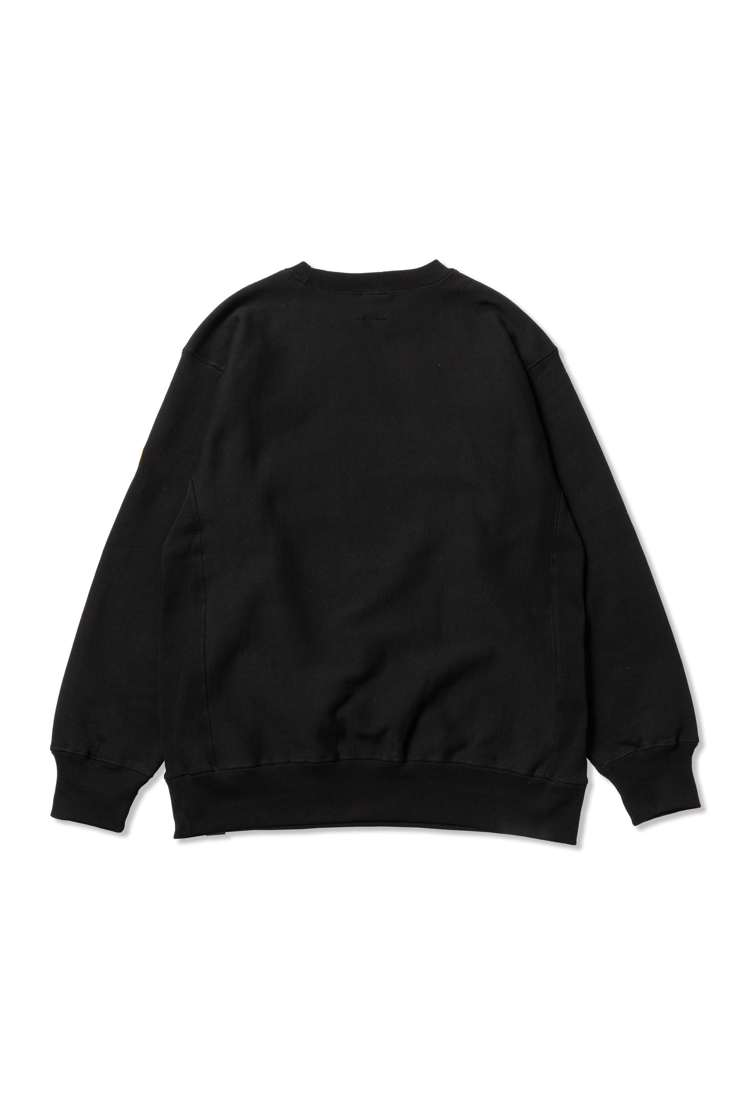 RIDDLE 20161008 SWEATSHIRT / BLK